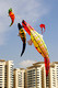 Singapore Kite Day 2009, Singapore Kite Association, Bertrand Rosier, Peter Lynn